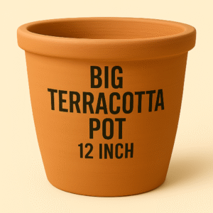 Big Terracotta Pot 12 Inch