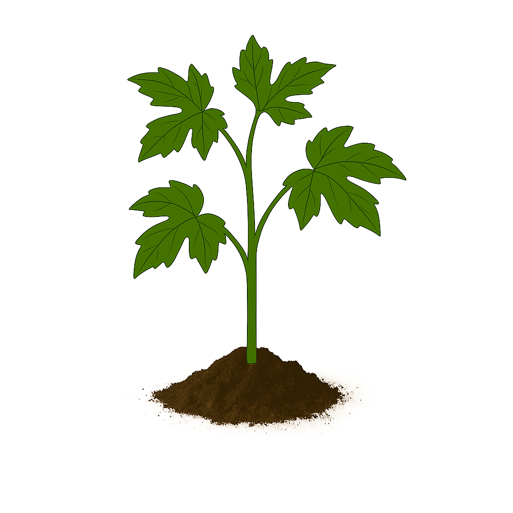 Bitter Gourd (Karela)