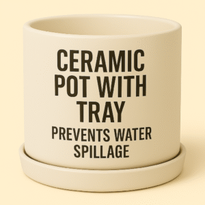 Top 5 Ceramic Pots with Tray - No Spill Indoor Planters at ₹379
