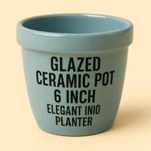 Glazed Ceramic Pot 6 Inch – Elegant Indoor Planter