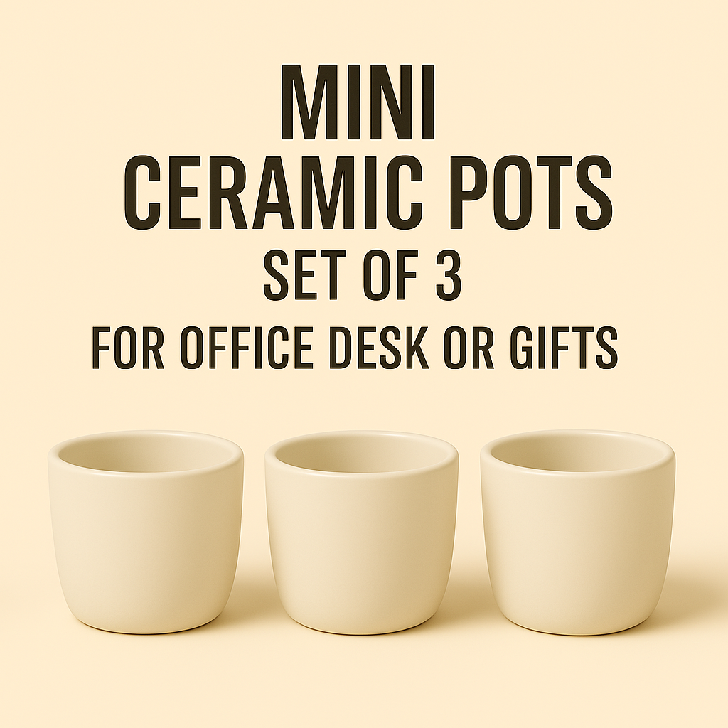 Mini Ceramic Pots – Set of 3 for Office Desk or Gifts