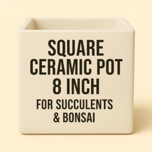 Top 5 Square Ceramic Pots for Succulents & Bonsai – 8 Inch | ₹499