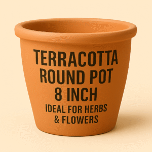 Terracotta Round Pot 8 Inch – Ideal for Herbs & Flowers