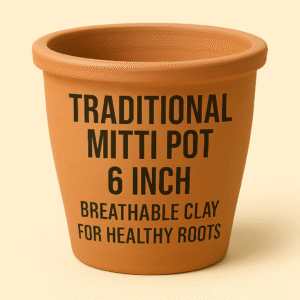 6 Inch Traditional Mitti Pot– Breathable Clay for Healthy Roots