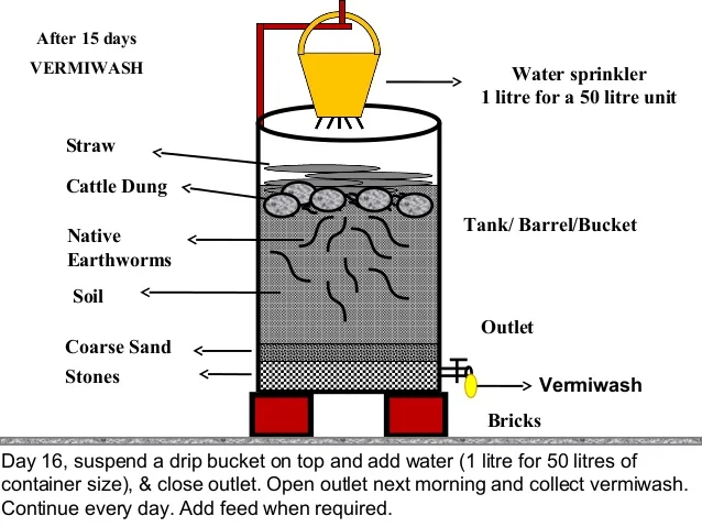 vermiwash 1