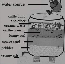 vermiwash 5