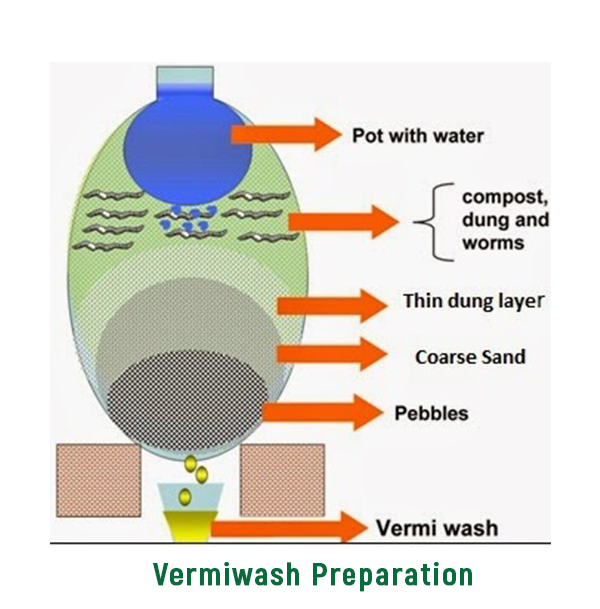 vermiwash2