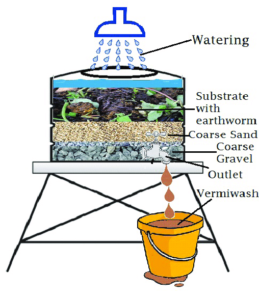 vermiwash3